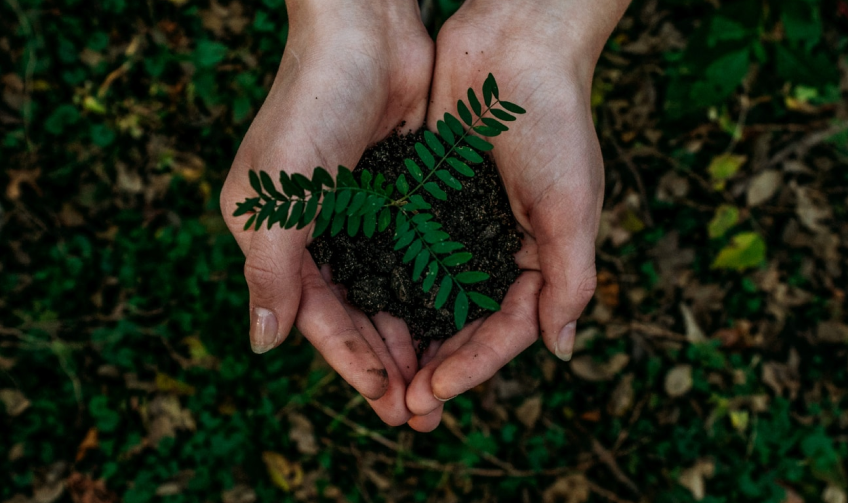 zack-smith-wHd_pzhXOjI-unsplash 1