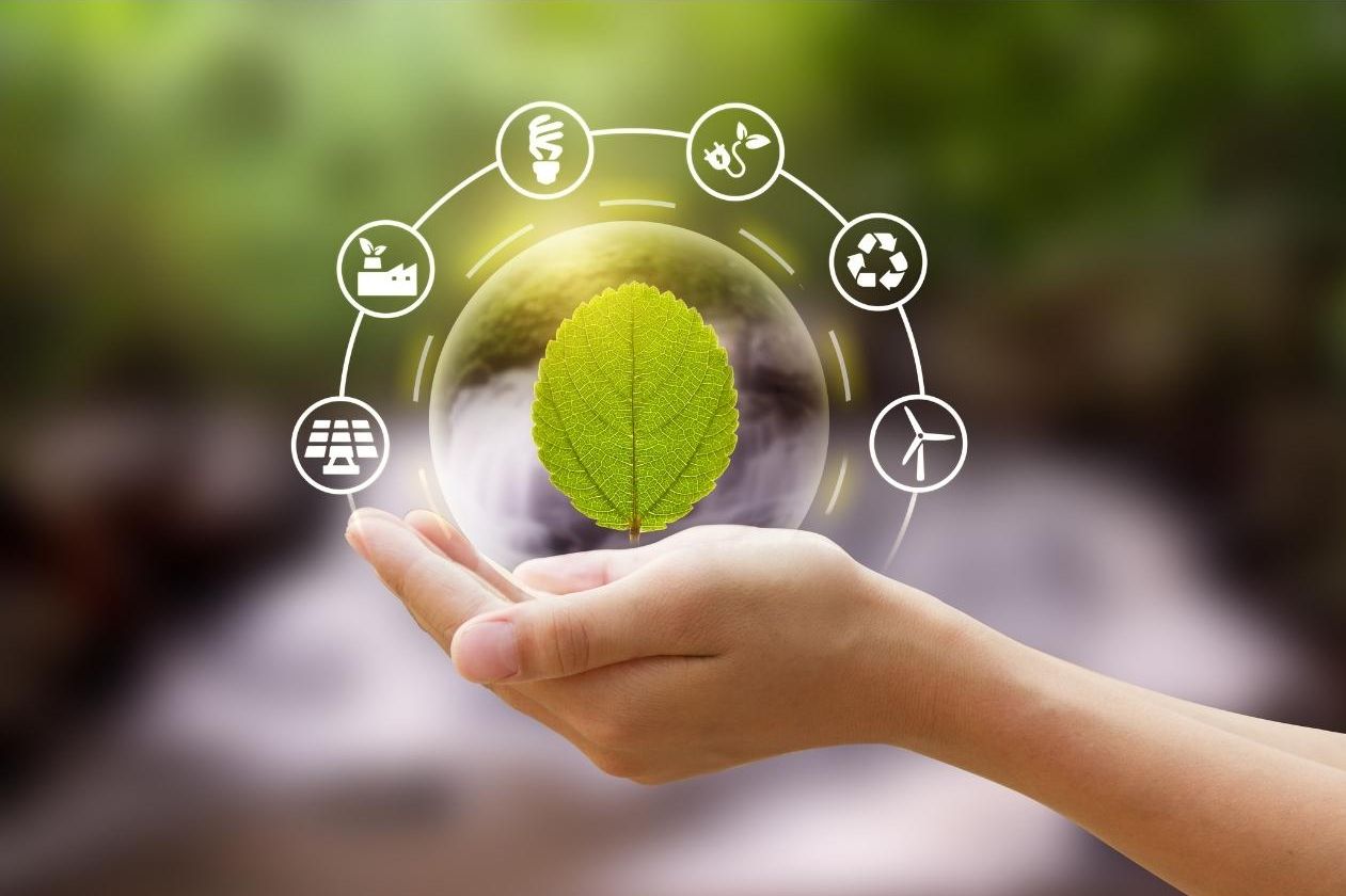Sustainable network Article images