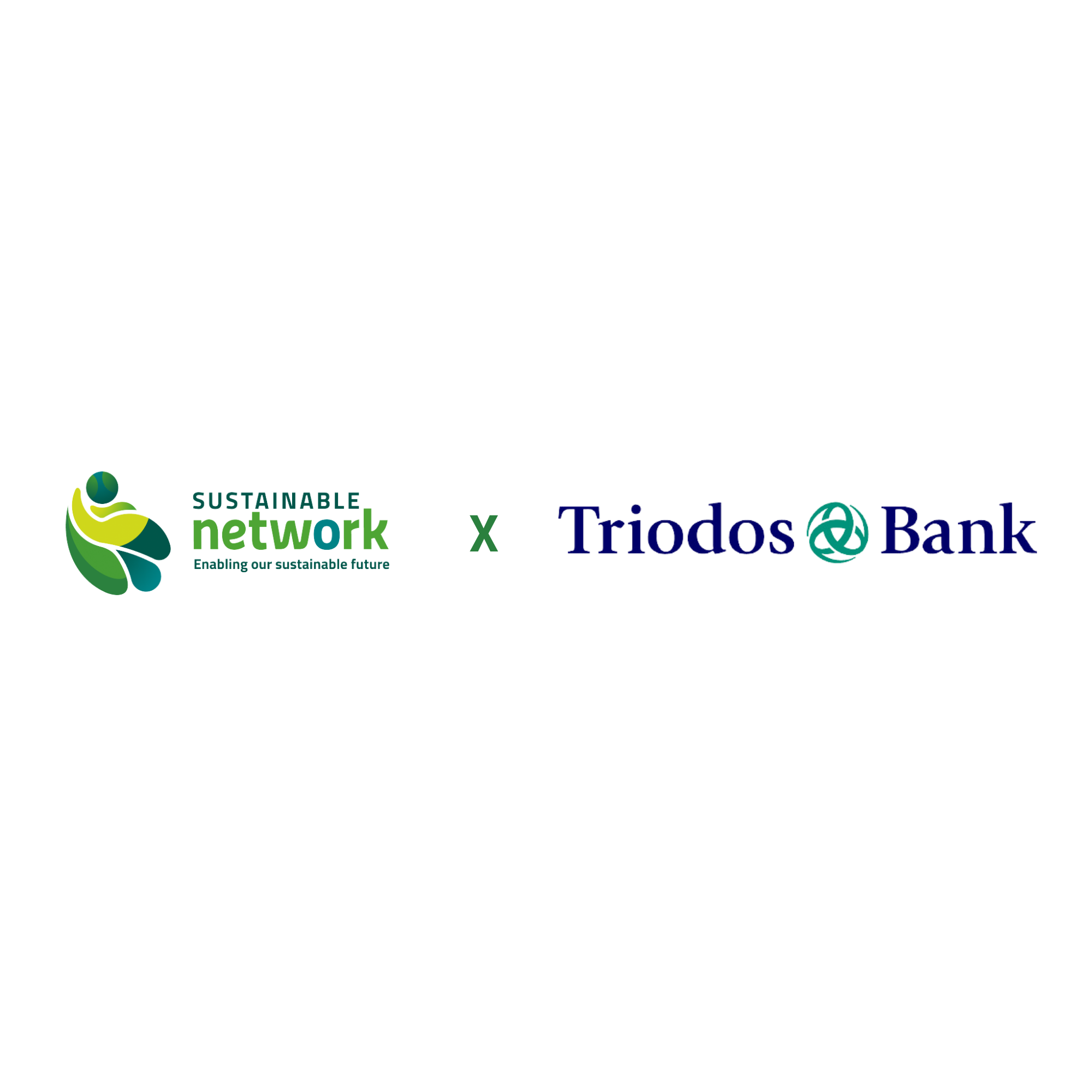 Sustainable Network Featured image article
