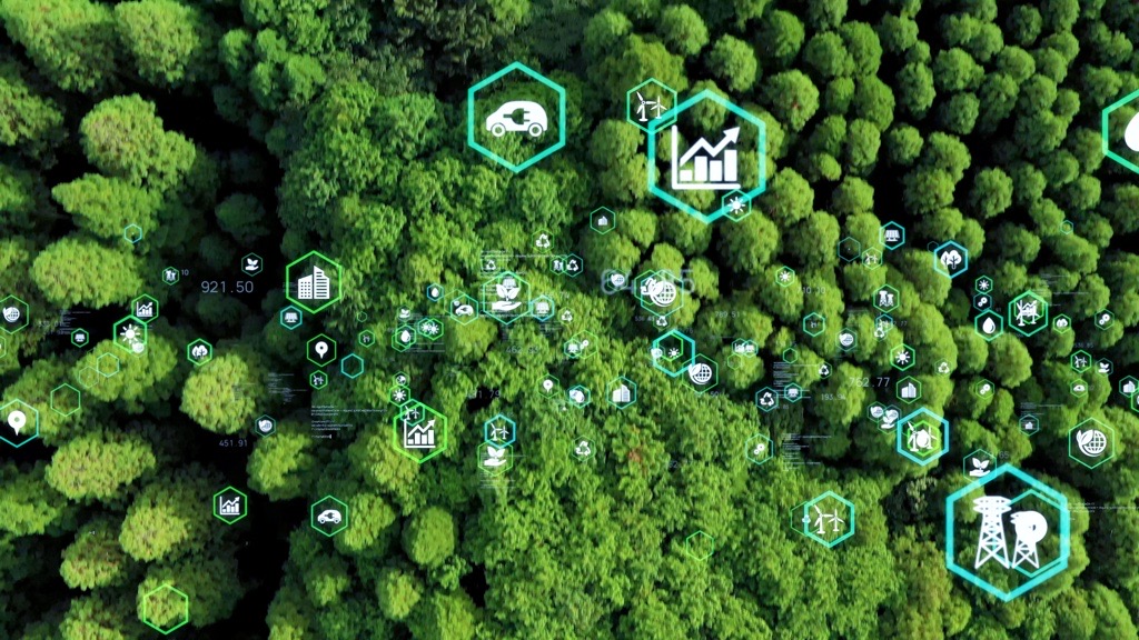 Sustainable network Article images