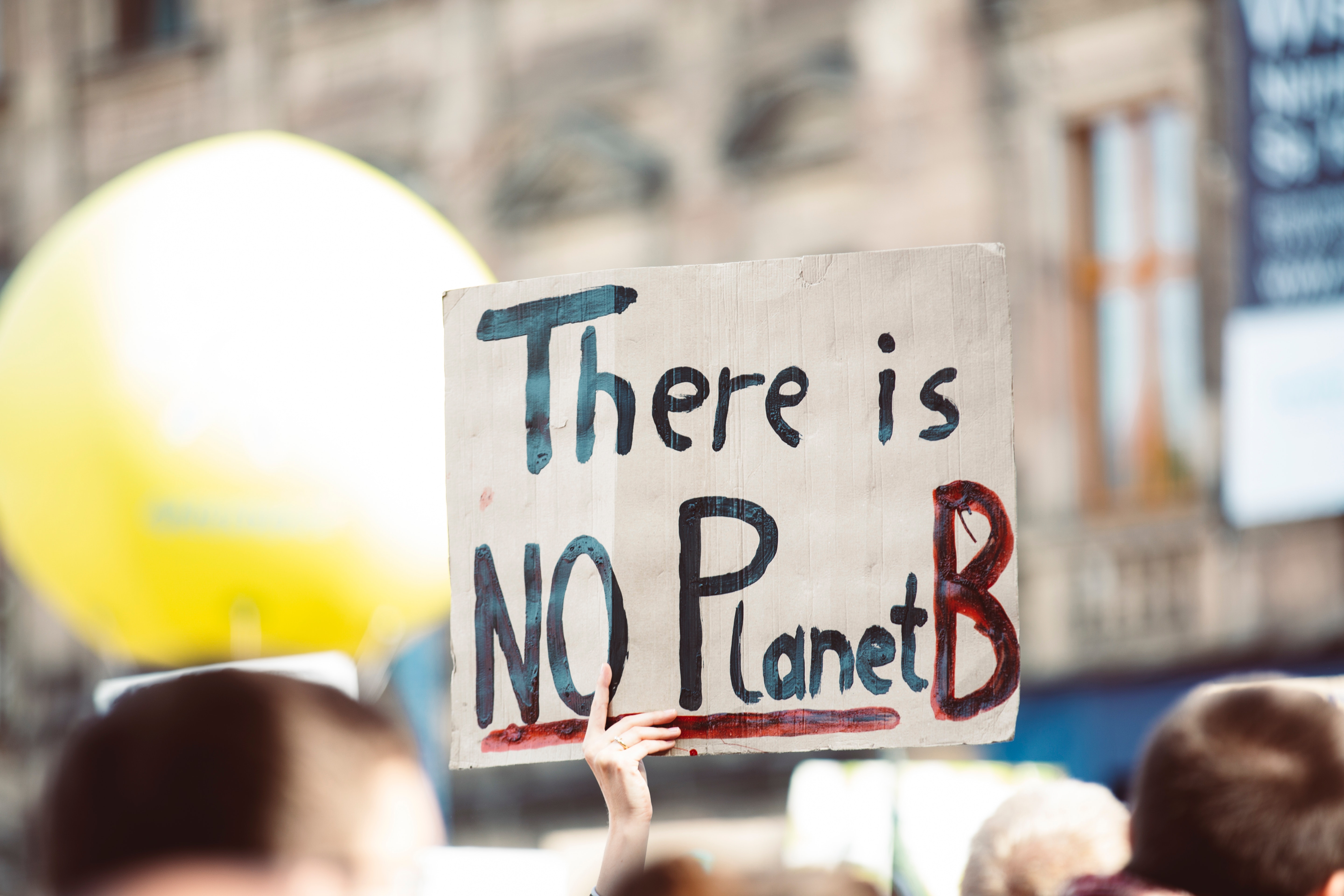 Sustainable network Article images