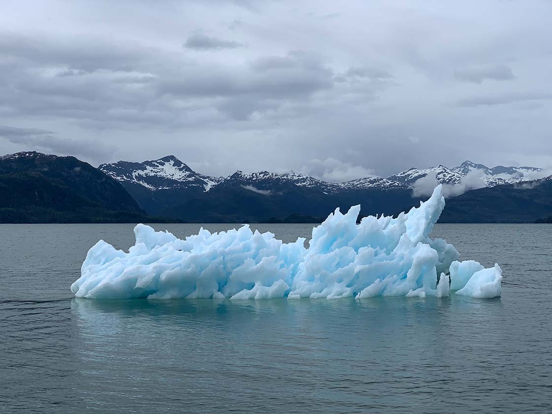 Sustainable network Article images